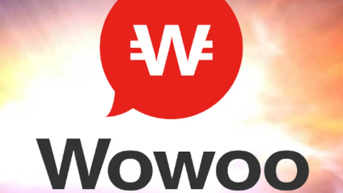wowoo,wowbitは詐欺！
