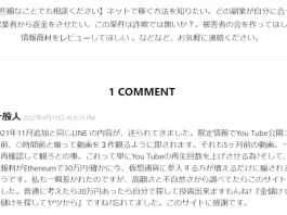 投資家わたがし,評判