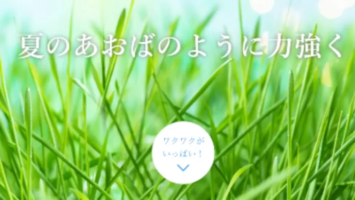 株式会社あおばアシスト,大塚晃和