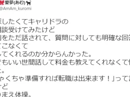 キャリドラの料金と評判