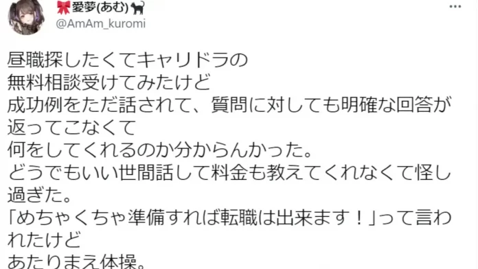 キャリドラの料金と評判