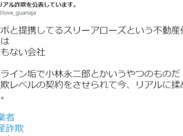 株式会社スリーアローズ,不動産投資