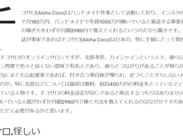 山口実加のハンドメイド副業の評判