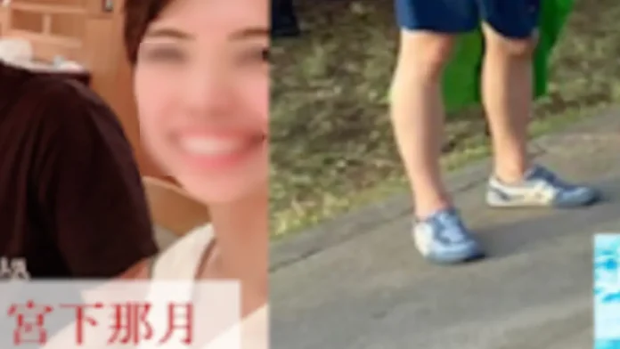 宮下那月の経歴